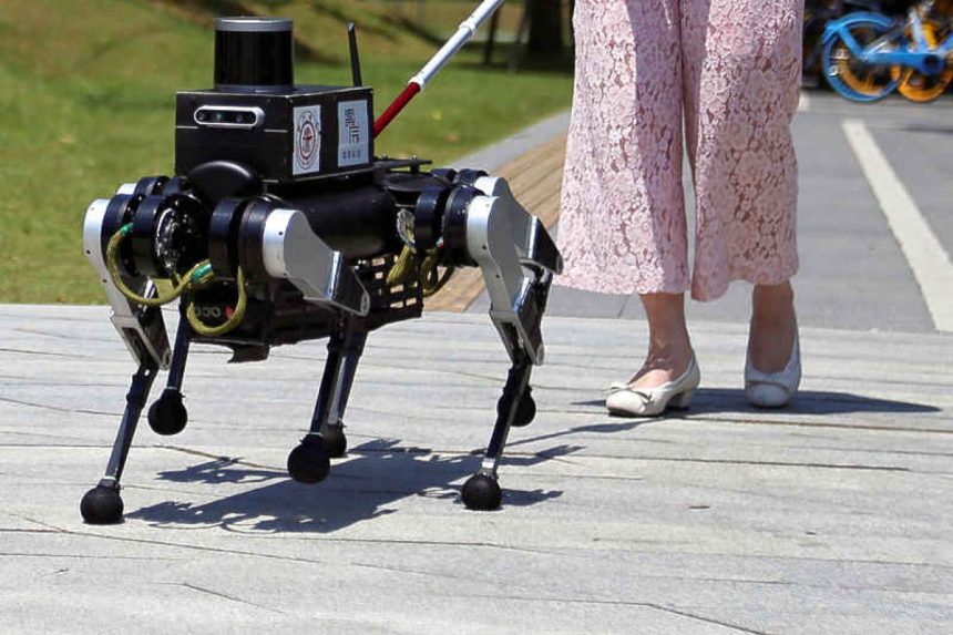 Les chiens-robots ont trouvé leur rôle ultime dans la société