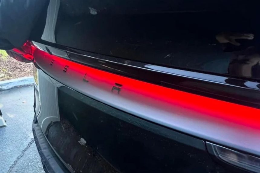 La nouvelle Tesla Model Y Juniper commence bel et bien à se montrer (Photos)