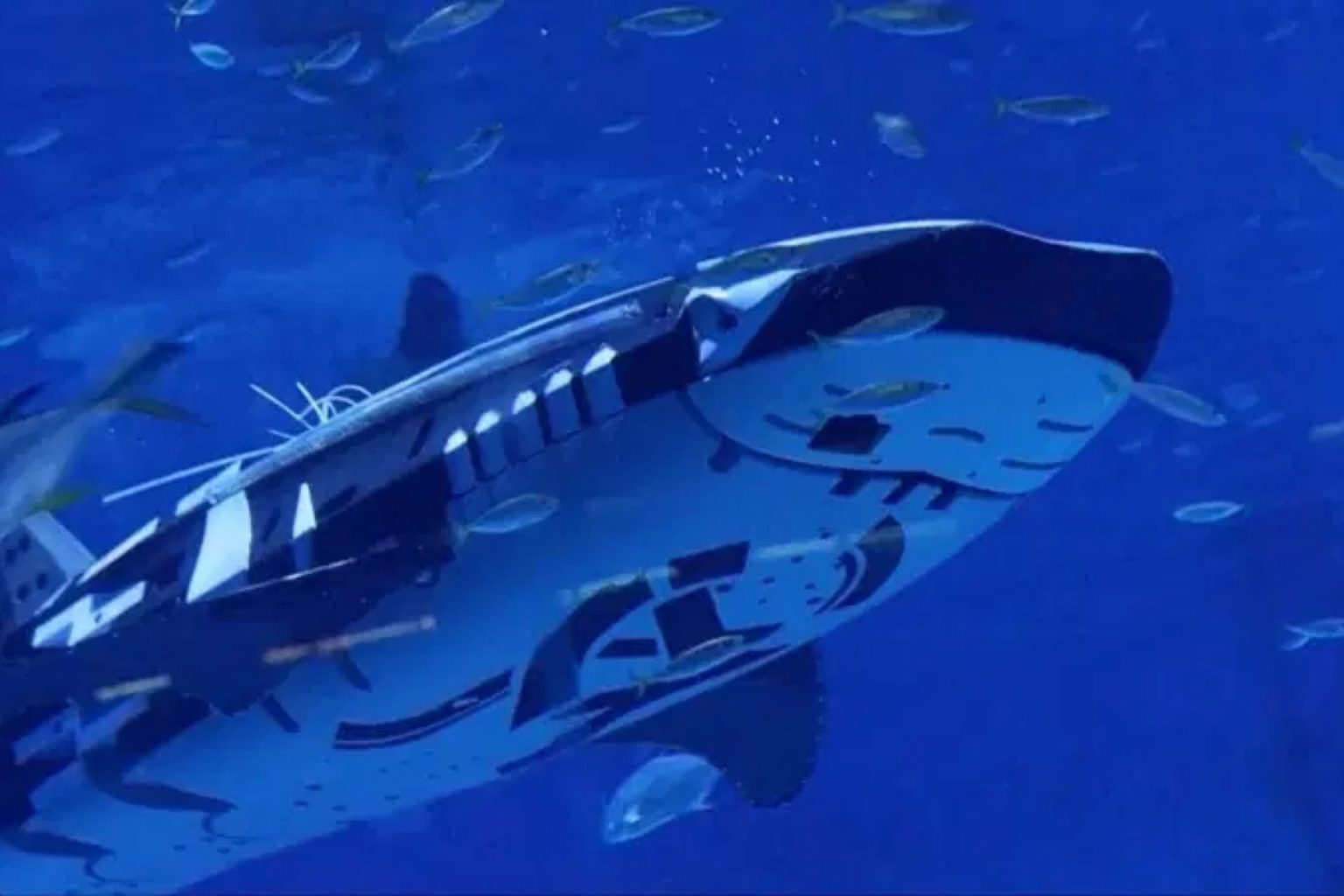 Elle mesure 5 mètres de long et pèse 350 kilos : voici la première baleine robotisée de l’histoire (Vidéo)