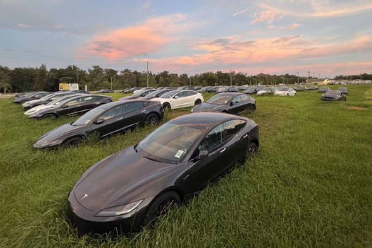 Des centaines de Tesla garées dans un champ de Floride en attente d’acheteurs (Photos)